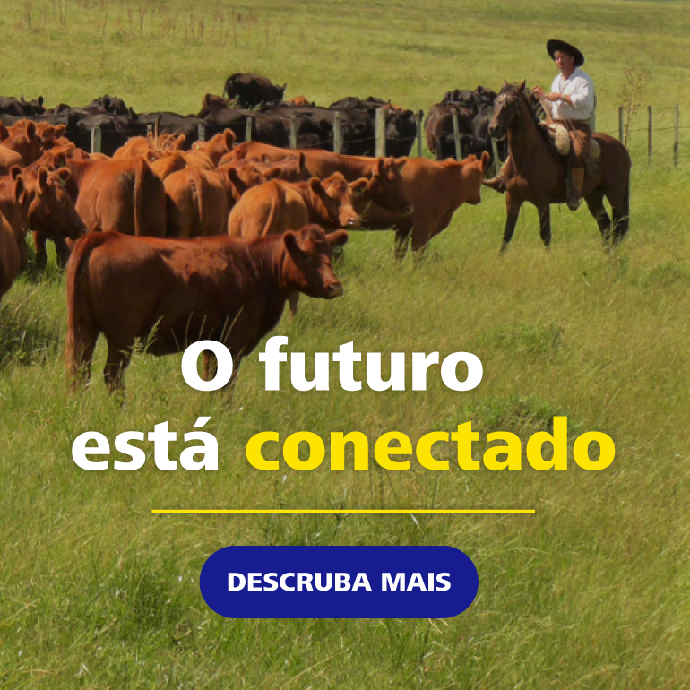 TT Brazil Portuguese mobile banner Oct26
