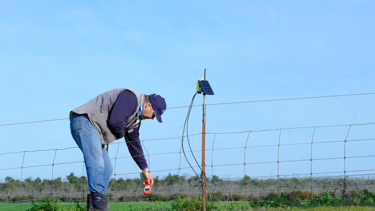 Fence Monitoring Charlie