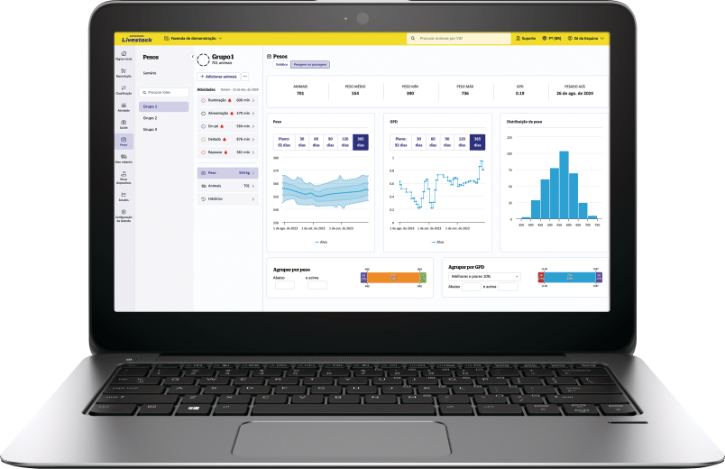 DML software PT