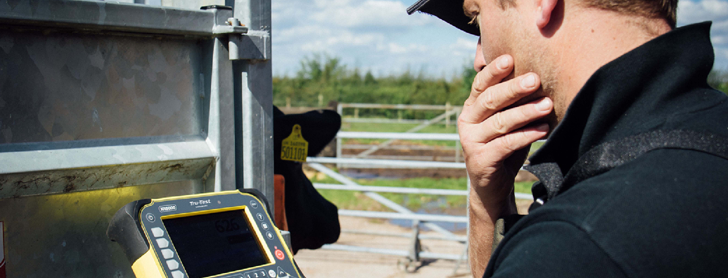 Trabalho duro de maneira facil Homepage Banner