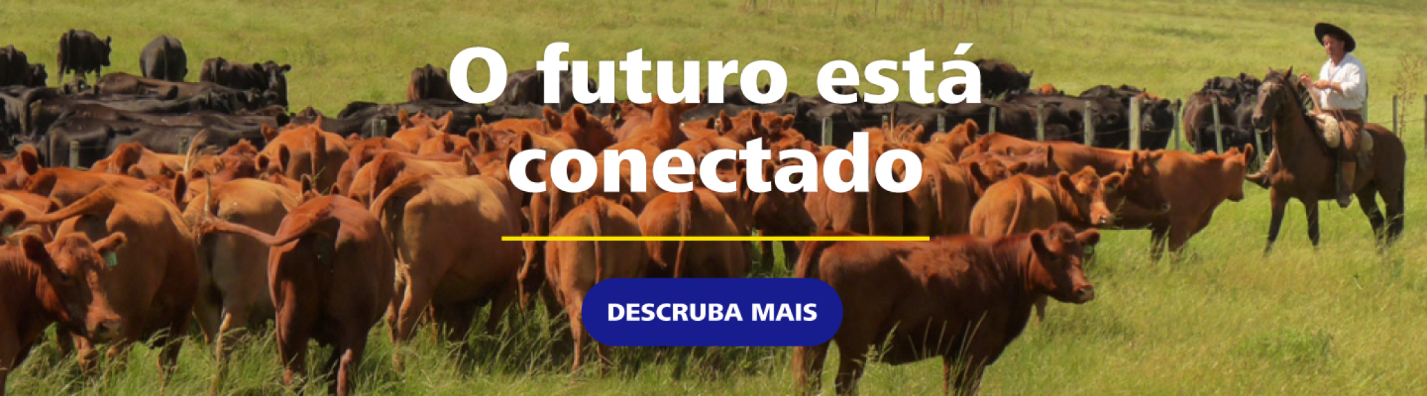 TT Brazil Portuguese desktop banner Oct26